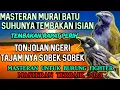 Lagu MASTERAN BURUNG KASAR ISIAN NGEROL TAJAM MATERI EDAN || FULL ISIAN TEMBAKAN TAJAM KASARNYA EDAN