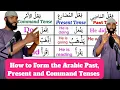 How to form Arabic Past Present and Command Tense Explained with Real-life Examples