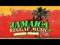 Download Lagu REGGAE PARTY op wielen met Skank Train 🚂 Beats!