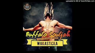 buffalo souljah wakasticka feat dj cleo x bizizi