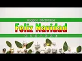 Download Lagu Feliz Navidad Karaoke Reggae Christmas