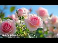Download Lagu Лучшие мелодии в мире🌺Музыка для души, для спокойного дня🌿Музыка Сергея Грищука #2