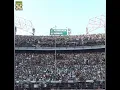 Story Wa Chant Kelangan Persebaya