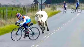 حاول ألا تضحك 2025 أفضل الميمات ومقاطع الفيديو المضحكة الجزء 15 