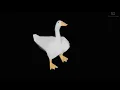 Download Lagu Goose Dancing To Low Quality Music (10 Hours)