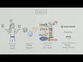 What is DDEV Handcraft Explainer