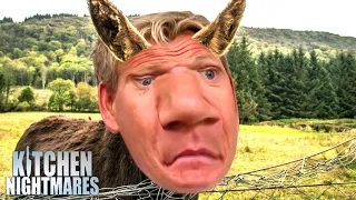 "YOU f*@$ing DONKEY!" | COMPILATION | Kitchen Nightmares