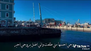 راح ابقى احبك اني حتى لو ماكو نصيب 