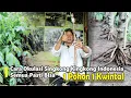 Download Lagu Cara Okulasi Singkong Kingkong Indonesia, Tidak Ada Rahasia, Semua Pasti Bisa