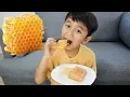 Download Lagu Ziyan Makan Sarang Lebah Madu Asli