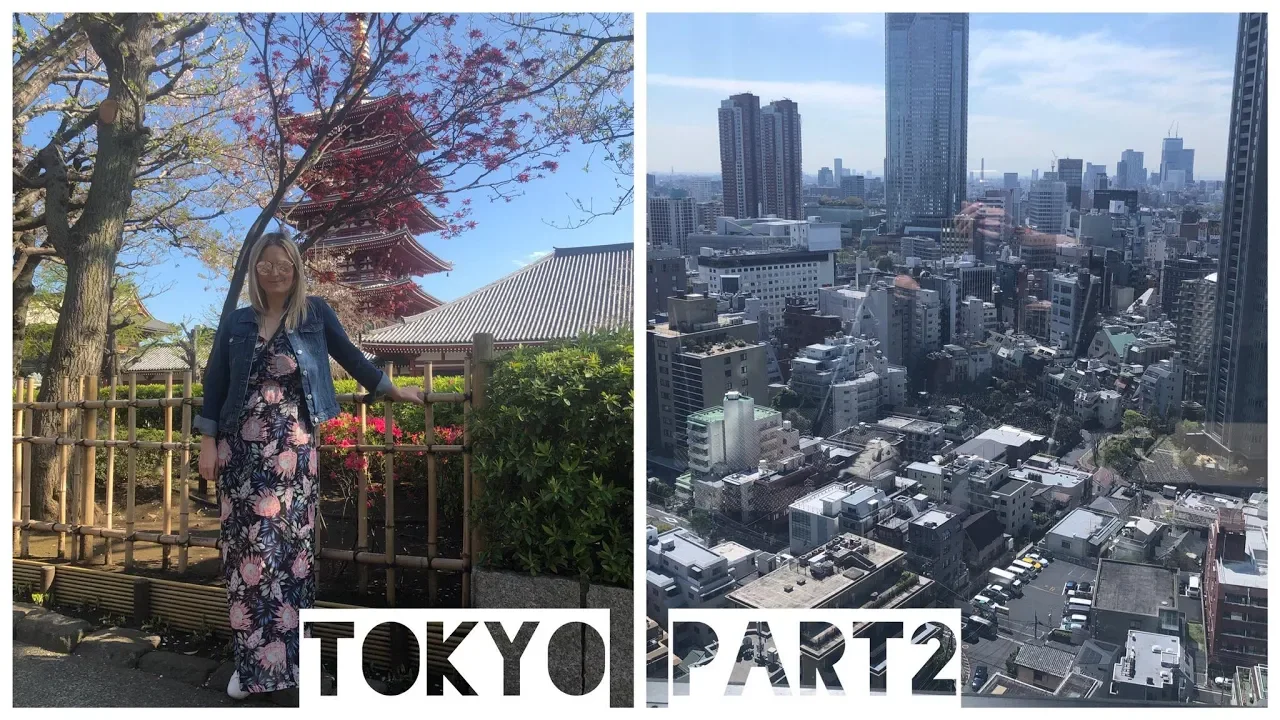 Travel: Tokyo Part 2