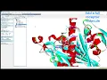 2D 3D Visualization of Docked Ligand-Protein Complex Using Discovery Studio Visualizer