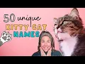 50 BEST UNIQUE CAT NAMES Girl Boy Viewers Name Ideas For Male Female