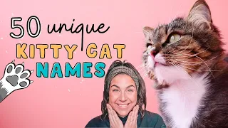 50 BEST UNIQUE CAT NAMES Girl Boy Viewers Name Ideas For Male Female