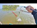 Download Lagu NGERI..‼️BARU DATANG LANGSUNG DISIKAT IKAN BABON-BABON, YANG LAIN JADI KEPANASAN