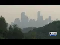Vaccine could be coming for Cedar Fever