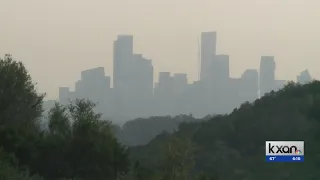 Vaccine could be coming for Cedar Fever