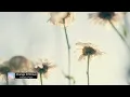 Falden, Pearl - Change Of Driver