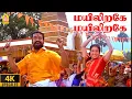 Download Lagu Mayilirage Mayilirage - 4K Video Song | மயிலிறகே  | Thenkasi Pattanam | Sarath Kumar | Devayani