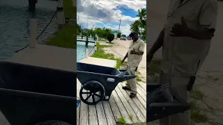 Donating fish to a local. (Watch “catching a massive fish on my sailboat” to see the fight!)