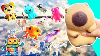 Animal Names | Kids Learn at the Beach: Capybara Horse Dog Cat Axolotl Rabbit Frog Oryx