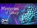 Mysteries of Sleep (2020) | Full Documentary | NOVA