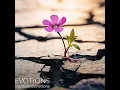 Don t Despise Small Beginnings