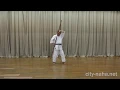 Lagu 琉球古武道　周氏の棍(小) 棒の基本的な使い方 Ryukyu Kobudo. Bo Kata - Shushi No Kon Sho . Basic usage of the Bo.