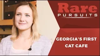 Java Cats Cafe s surprising owner Rare Pursuits
