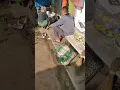 Download Lagu Bersama Tni/Milliter Copasuss(Adik)Mohammad febri Asli.jalesveva jayamahe..asli wajak.