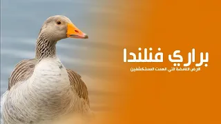 براري فنلندا الارض الغامضة في اقصى الشمال التي الهمت المستكشفين حول العالم كويست عربية بدون موسيقى 