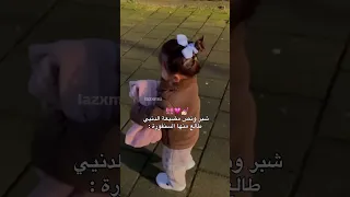 شو رايك بكزدورة شبر ونص مضيعة الدنيا طالع منها السنفورة                      اكسبلور  ستوريات  لايك دندنها