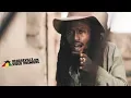 Download Lagu Jesse Royal - Blowing In The Wind [Official Video 2017]