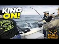 Roam Harvest Takes on Lake Michigan King Salmon Wisconsin Fishing