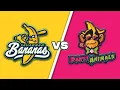 Download Lagu Savannah Bananas vs The Party Animals in St. Louis Cardinals Stadium! LIVE Banana Ball