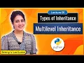 Multilevel Inheritance in Python Python Tutorials for Beginners