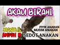 Download Lagu Suara walet Musim Anakan, Panggil walet Ampuh sedot anakan 😍