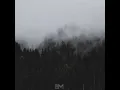 Let Go - Em