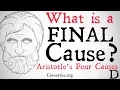 What is a Final Cause Aristotle s Four Causes