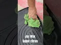 Jax Wax Super Citrus laying down some work on these mats
