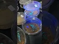 Download Lagu Watch this Scorpion glow under the blacklight: Emperor Scorpion 😁