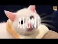 Download Lagu Alone (remix cute) - DJ Komang Rimex (Vietsub + Lyric)