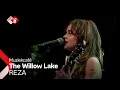 Lagu REZA - The Willow Lake | NPO Radio 2