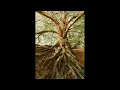 Download Lagu Grounding: 1-hour Breathwork Music (Holotropic / Connective / Rebirthing)