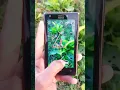 Download Lagu Nokia Lumia 925 Camera Test 2025! #nokialumia925 #technologylover #shorts #youtubeshorts #nokialover