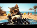 Download Lagu DJ MIAWW - House Party Essentials 2025 for Beach \u0026 Party Vibes🏖️ | Dancing With The Coolest Cat DJ