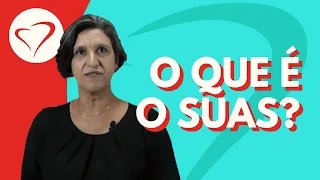 O que é o SUAS? Os Níveis de Atenção e suas Funções