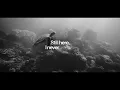 Zach Silva - “I Miss You” (Official Visualizer)