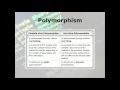OOP Principles part 2 Inheritance Polymorphism