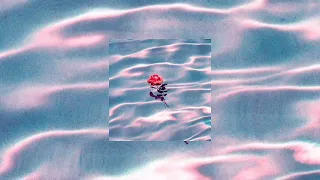 تيفو   سامعك   بدون موسيقى  دندنها